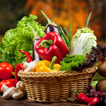 Fresh organic vegetable seeds for farmers.